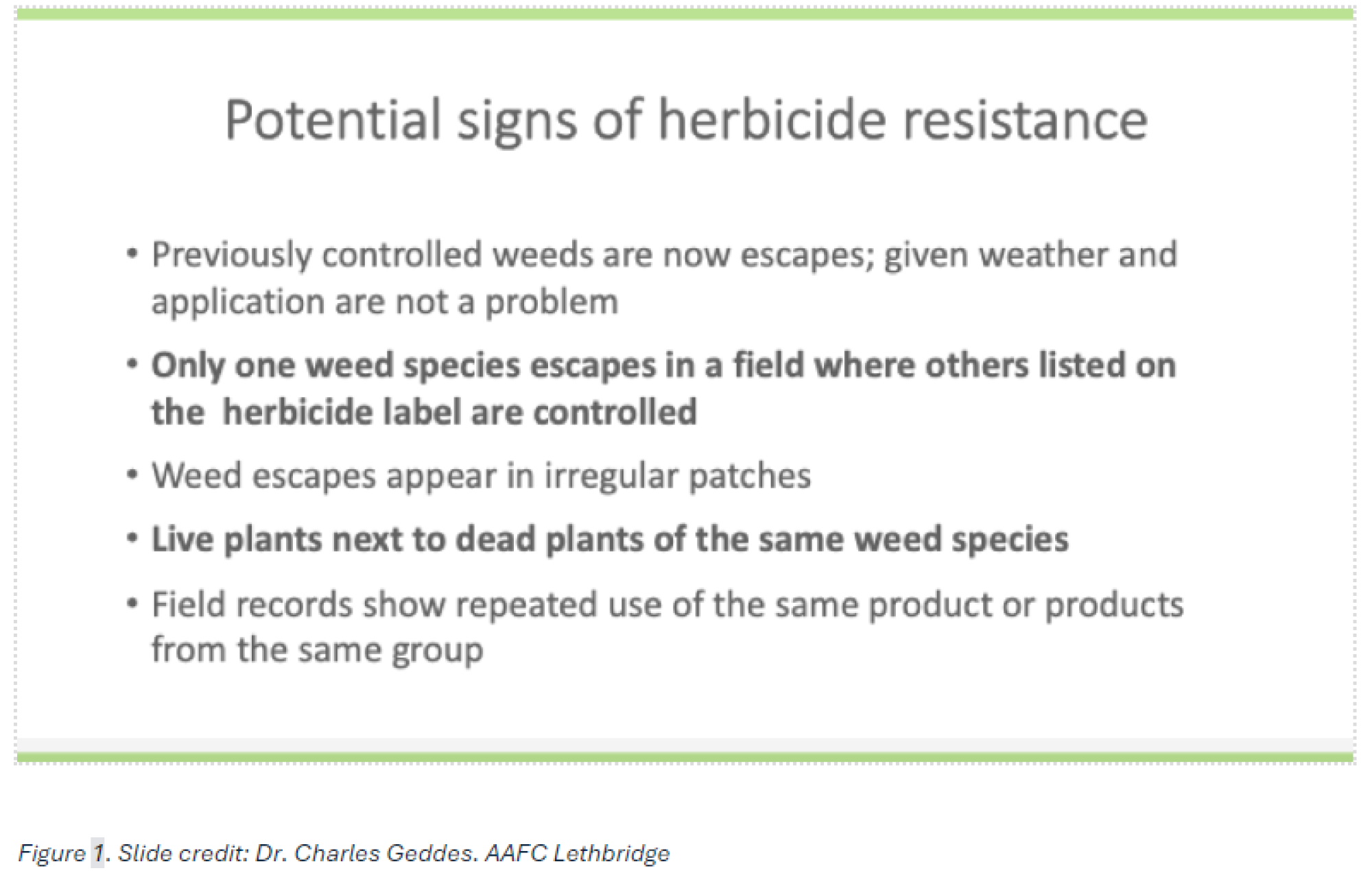 Fall Into Control: Mastering Fall Weed Management - Alberta Grains
